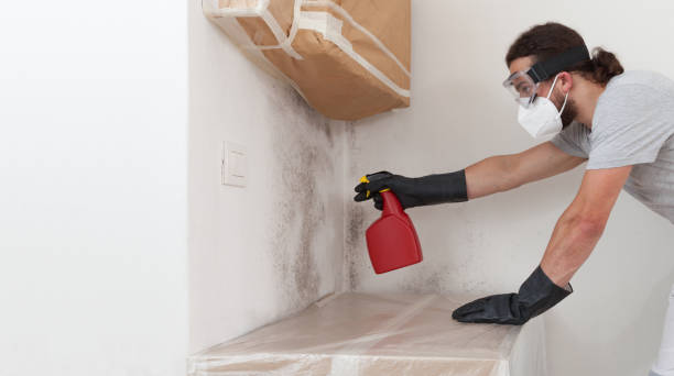 Professional Attic Mold Removal technician working in Sterling, IL