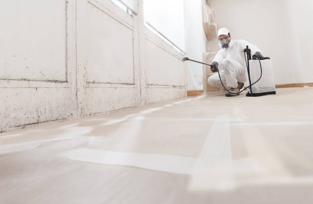 24/7 Emergency Attic Mold Removal experts in Sterling, IL